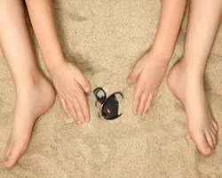  Longmont Lock And Keys Longmont, CO 303-357-8336